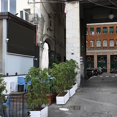 Nik Genoa